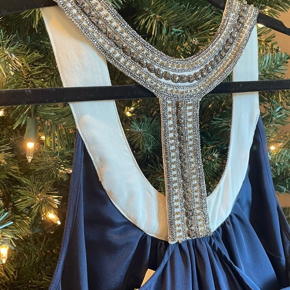 Gorgeous Joie Dress with Beaded Neckline - Picture 3 of 3